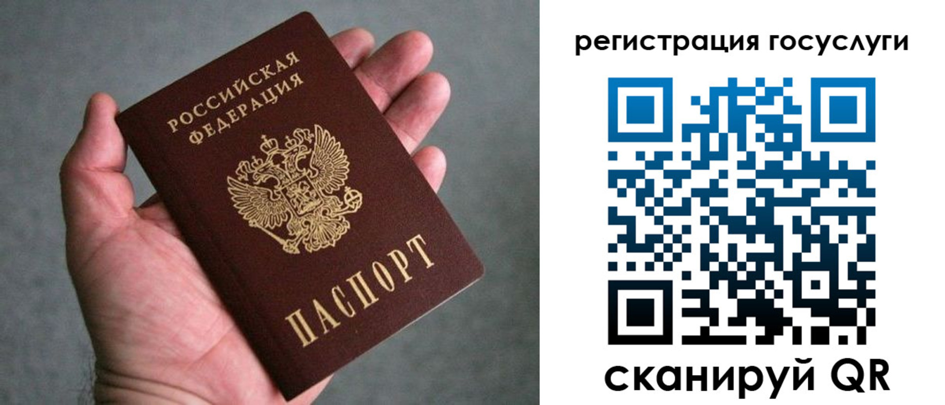 прописка поиск в Новгородской области