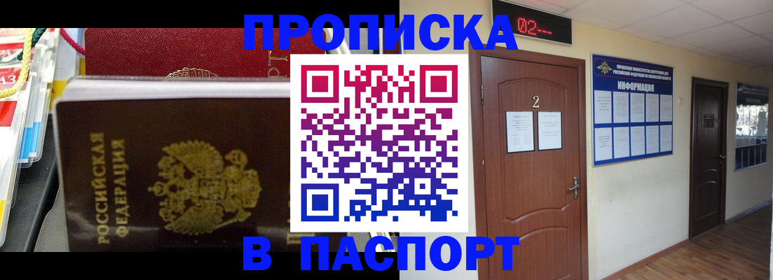 прописка гарантия в Новгородской области
